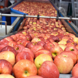 Interwencja w sprawie Egiptu przyniosła rezultat