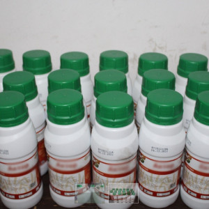 Nielegalne środki ochrony roślin na polskiej granicy