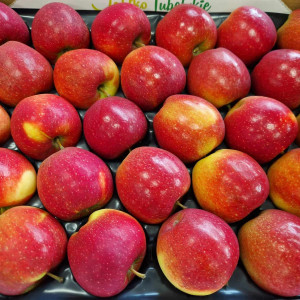 Handel jabłkami a odmiany klubowe. Międzynarodowa konferencja sadownicza już wkrótce!