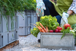 Dofinansowanie małych gospodarstw. Rolnicy ubiegają się o 268 mln zł