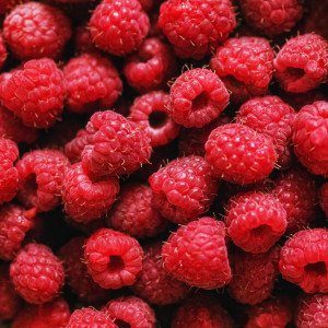 Trudności z eksportem ukraińskich malin do Polski