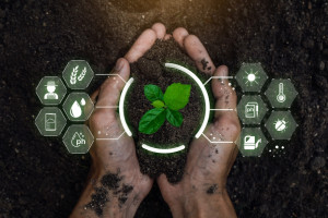 Sztuczna inteligencja a ochrona roślin. AI wesprze rolników?