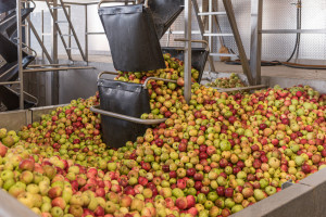Tysiące ton koncentratu jabłkowego i mrożonych malin trafiło do nas z Ukrainy