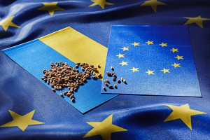 Jakie produkty będą objęte ograniczeniami w imporcie z Ukrainy?