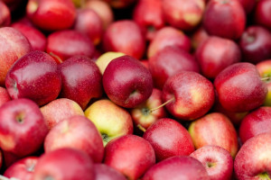 Mniejsze obroty na rynku jabłek? "Trwający sezon miał być lepszy"