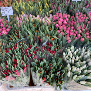 Ceny kwiatów na Wielkanoc 2024. Ile kosztują tulipany, żonkile, hiacynty?