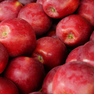 Jedna odmiana jabłek w Polsce ma teraz wzięcie