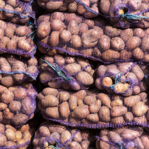 Ceny ziemniaków w hurcie 2024. Ta odmiana podrożała aż o 90 procent