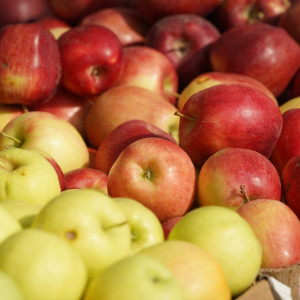 Ceny jabłek nie są na tyle wysokie, żeby pokryć rosnące koszty