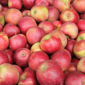 Tyle polskich jabłek kupiła Białoruś