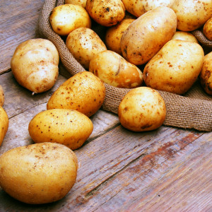 Ile kosztują młode ziemniaki w hurcie?