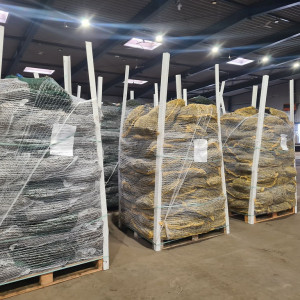 Kontrole eksportu karp szparagów do Ukrainy