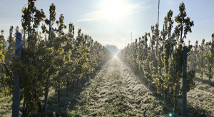 W nocy zacznie mrozić. Temperatury spadną do -7 st. C w 11 województwach