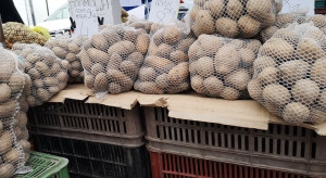 Ceny ziemniaków 2025. Ile kosztuje kilogram w hurcie?