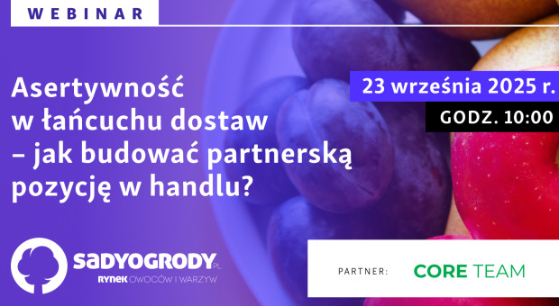 Jak budować partnerską pozycję w handlu? Zapraszamy na webinar