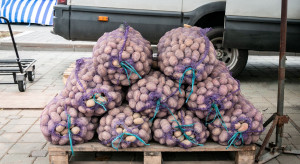 Ziemniaki w cenowym dołku. Ile kosztuje 15 kg worek w hurcie?