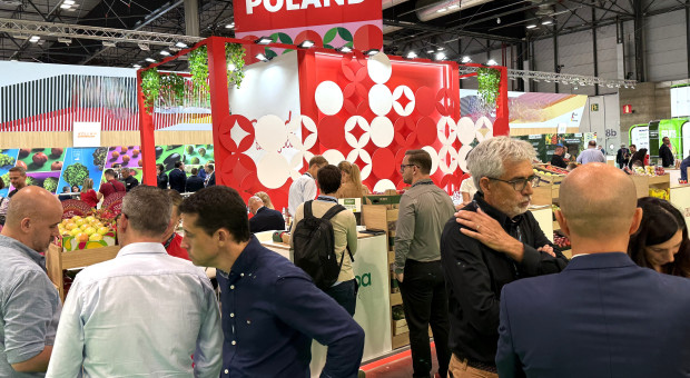 Pierwszy dzień targów Fruit Attraction 2025. Zobacz galerię zdjęć