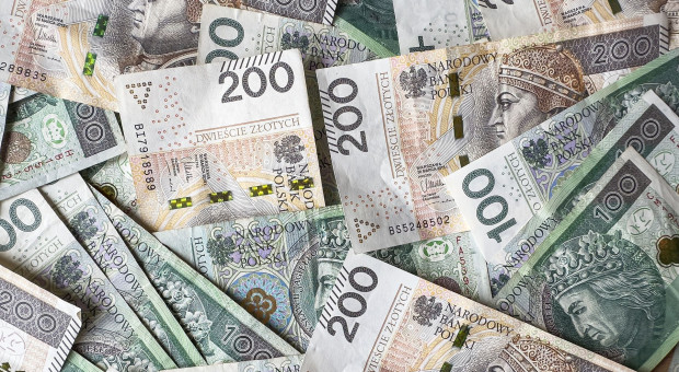 Nowe stawki płatności bezpośrednich dla rolników. Sprawdź ile wyniosą