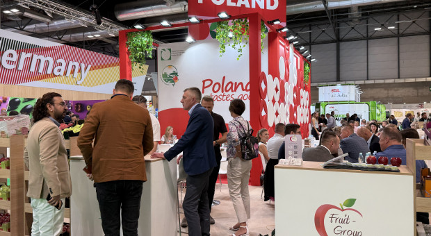 Co polskim eksporterom daje udział w targach Fruit Attraction? To nie tylko "dobijanie targu"