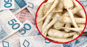 Będzie pomoc dla poszkodowanych producentów pietruszki? Potrzebne są kredyty