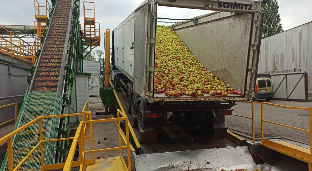 Kampol - Fruit bez nabywcy. Syndyk próbuje poprawić sytuację zakładów w Milejowie i Rykach