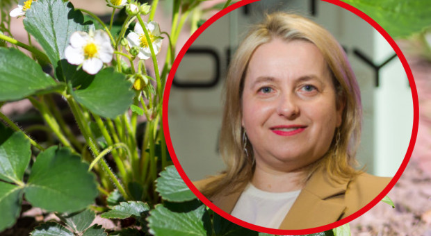 Mikrobiologiczne rozwiązania w podejściu do ochrony i nawożenia. O tym już 20 listopada na Stadionie Legii