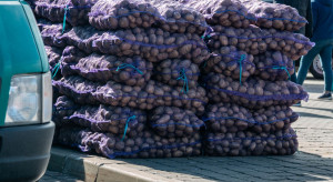 Ziemniaki w cenowym dołku. W hurcie już od 7 zł za 15 kg worek