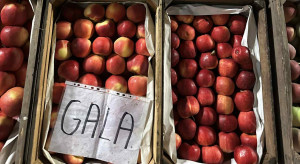 3 odmiany jabłek droższe na Broniszach. Sprawdź aktualne ceny owoców