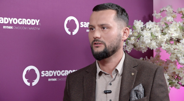 Damian Palus o produkcji jabłek w gminie Fajsławice. Co sprzyja  uprawom?