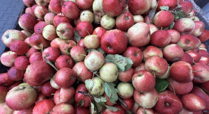 Eskimos ogłosił upadłość. Wierzyciele muszą działać szybko