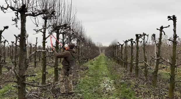 Zatrudniasz cudzoziemca w gospodarstwie? Teraz zapłacisz za niego 4 razy tyle!