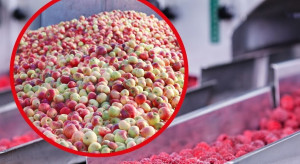 Upadek spożywczego giganta z głośną aferą w tle. To ostatnia szansa na odzyskanie należności