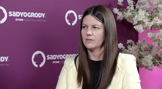 Zmiany w ochronie roślin. Nowe rozwiązania muszą być dopasowane do potrzeb sadowników