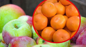 Jabłka, gruszki i cytrusy. Jak kształtują się ceny na Broniszach?