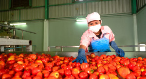 Pomidory z przekroczeniami, papryka z zakazaną substancją. Tam produkują jak chcą