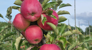 Nie będzie podwójnych standardów? KE zmieni reguły importu żywności