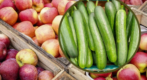 Ceny owoców i warzyw przed świętami. Jedno wyjątkowo drogie