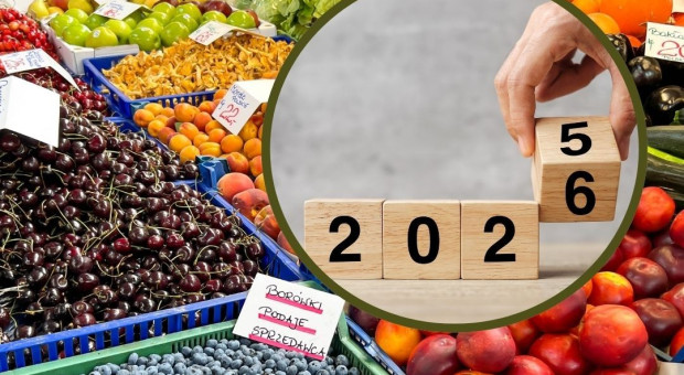 Sukcesy promocji, słabości organizacji. Bilans trudnego 2025 roku w ogrodnictwie