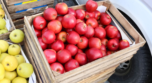 Bronisze: Mróz odstraszył sprzedających i kupujących. Warzywa drożeją