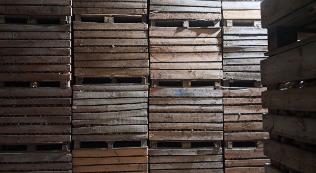 Pełne magazyny po zeszłym sezonie. Rolnicy obawiają się 2026 r.