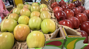 Umowa Mercosur: zagrożenie czy okno możliwości dla polskich jabłek?