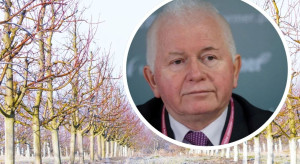 Czy silny mróz ograniczy populację szkodników w sezonie 2026?