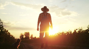 Dopłaty tylko dla aktywnych rolników. Sejm zadecydował