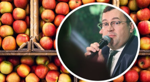 Minister rolnictwa o umowie handlowej UE z Indiami. Zyskają polskie jabłka?