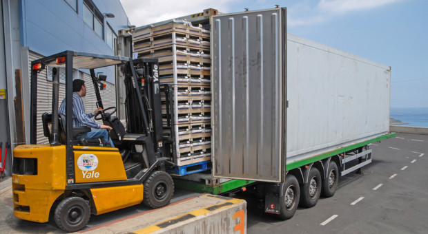 Kto straci, a kto zyska na umowie UE-Indie? WIR o scenariuszach dla polskiego rolnictwa