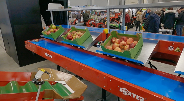 Co zaprezentował Sorter na TSW 2026? Skorzystają małe gospodarstwa