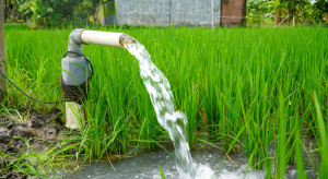 Nawet 60 tys. zł kary dla rolnika. Izba wnosi o akt łaski