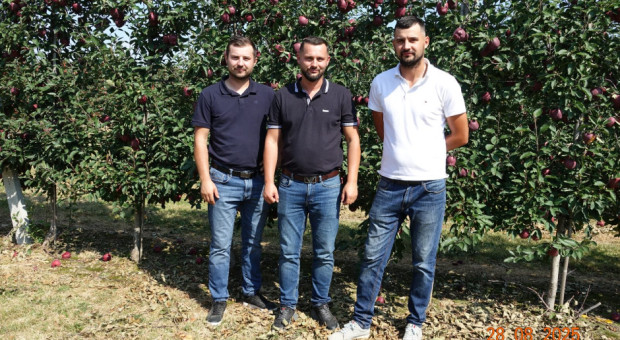 Bracia Palus: Ten biznes bywa hazardem. Opłaca się duży wolumen