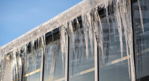 Mróz zniszczył dorobek życia. Rolnik błaga o pomoc