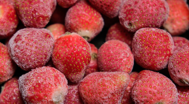 Egipt wypiera nas z rynku. Mrożone truskawki pod presją importu